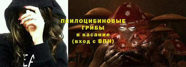 ешки Зерноград