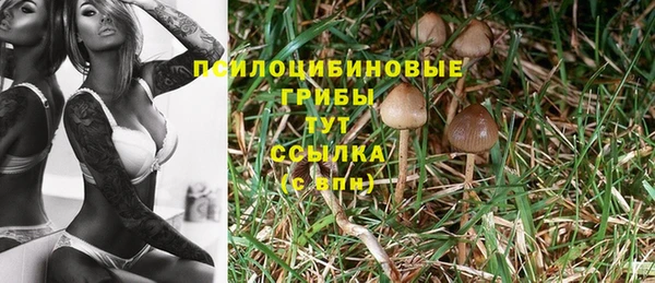 прущая мука Зеленодольск