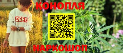 PSILOCYBIN Изобильный
