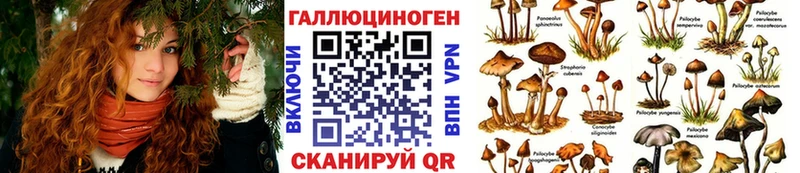 даркнет сайт  Камень-на-Оби  Псилоцибиновые грибы ЛСД 