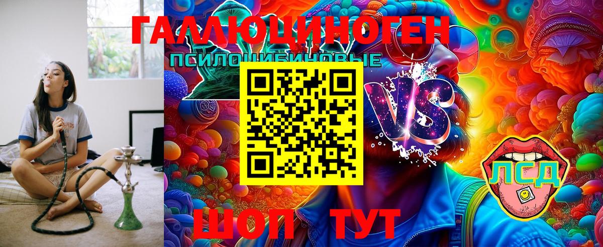 Камень-на-Оби  Псилоцибиновые грибы Cubensis  Вход с VPN 
